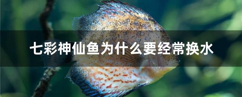 蘇州百潤發蘇福超市水天使水族用品店 蘇州百潤發蘇福超市水天使水族用品店 全國水族館企業名錄 第1張