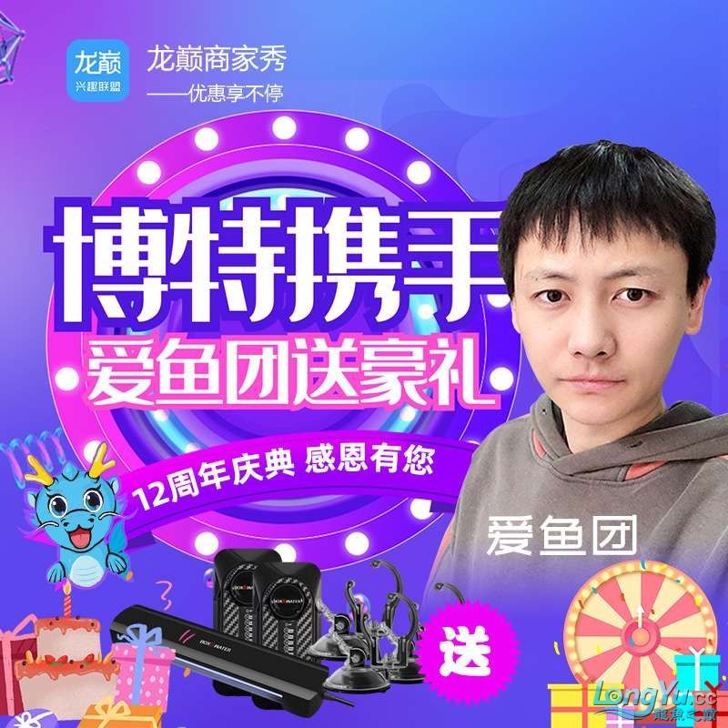 龍巔生日趴—博特攜手愛魚團送豪禮