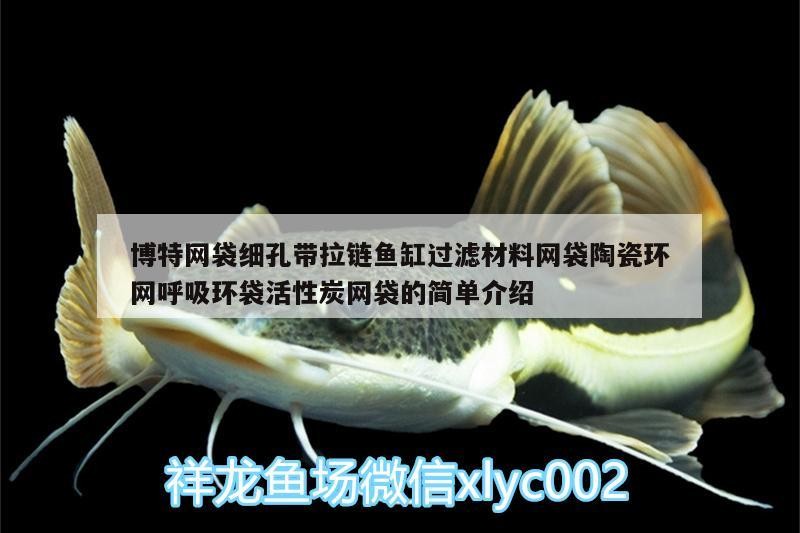 博特網袋細孔帶拉鏈魚缸過濾材料網袋陶瓷環網呼吸環袋活性炭網袋的簡單介紹