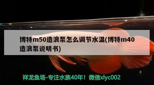 博特m50造浪泵怎么調節水溫(博特m40造浪泵說明書)