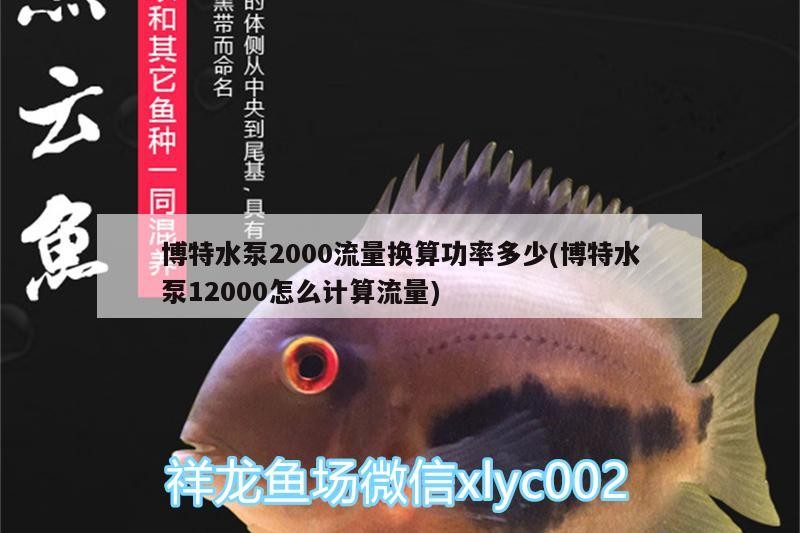 博特水泵2000流量換算功率多少(博特水泵12000怎么計算流量)