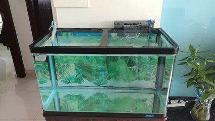 壁掛式魚缸過濾器怎么安裝：壁掛式魚缸過濾器安裝方法 壁掛式魚缸過濾器怎么安裝：壁掛式魚缸過濾器安裝方法 魚缸百科 第3張
