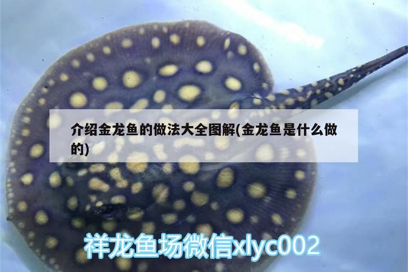 介紹金龍魚的做法大全圖解(金龍魚是什么做的)