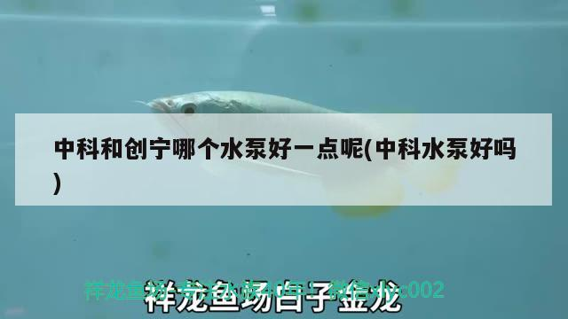 中科和創(chuàng)寧哪個水泵好一點呢(中科水泵好嗎)