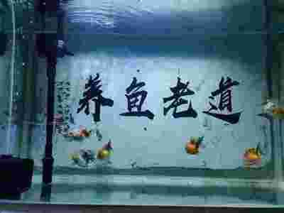 龍魚爛尾巴最簡單治療方法vs祥龍魚場：如何選擇健康的龍魚 龍魚爛尾巴最簡單治療方法vs祥龍魚場：如何選擇健康的龍魚 vs祥龍魚場 第5張