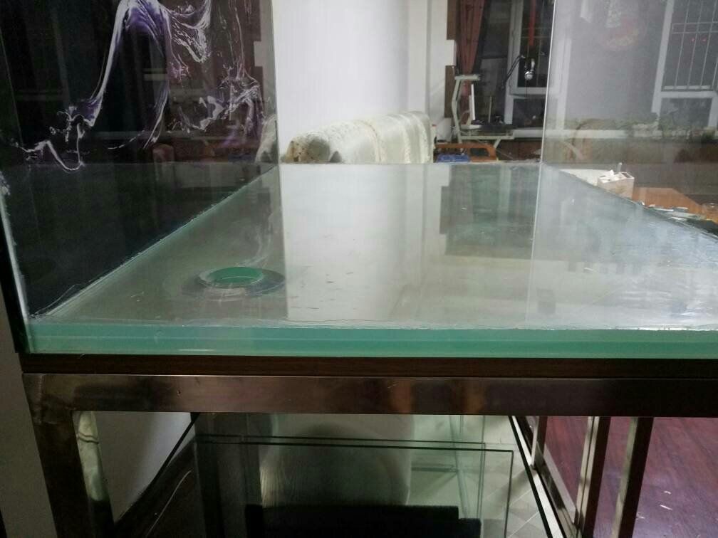 玻璃膠魚缸會不會裂：如何選擇合適的玻璃膠粘魚缸