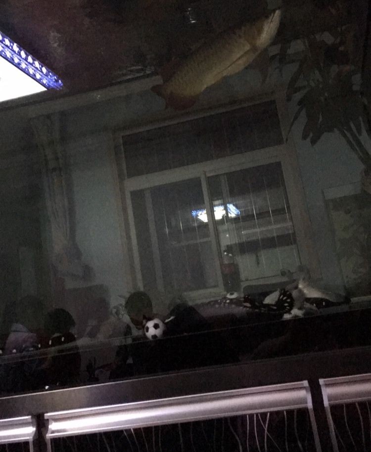 博特精品養水王牌一直關注博特水泵