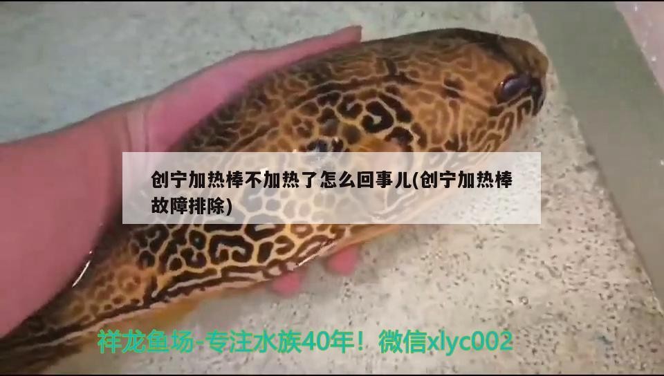 創(chuàng)寧加熱棒不加熱了怎么回事兒(創(chuàng)寧加熱棒故障排除)
