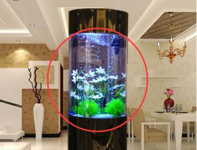 29升水的魚缸能養幾條魚：魚缸能養多少條魚