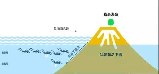 魟魚水流大適應嗎：魟魚水流大適應嗎[需手動填充][需手動填充]魚水流大適應嗎