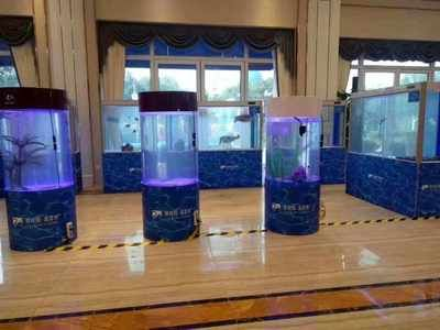 負壓魚缸的壞處，如何降低負壓魚缸能耗