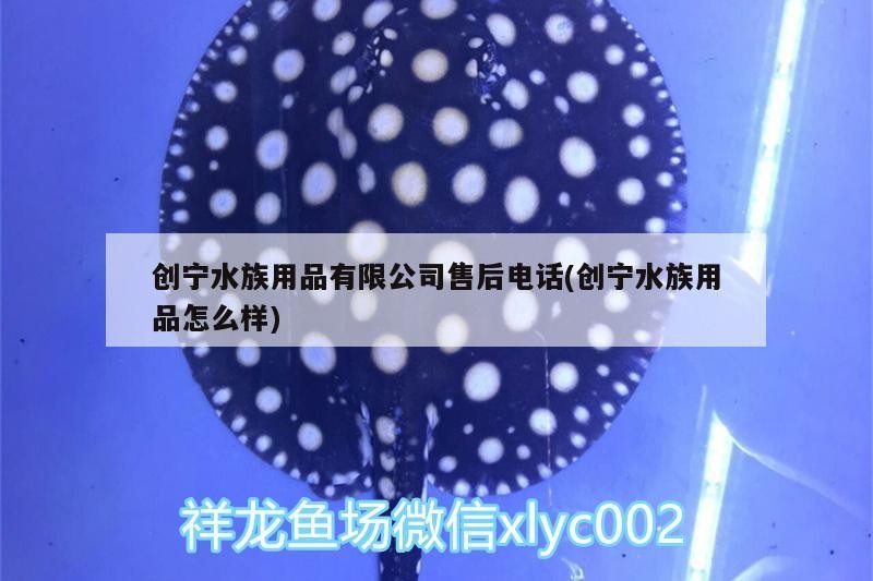 創(chuàng)寧水族用品有限公司售后電話(創(chuàng)寧水族用品怎么樣)
