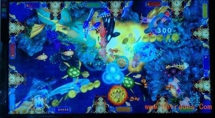 朔州龍魚vs祥龍魚場(朔州地區多家水族專賣店和漁具店都有可能銷售龍魚) 全國水族館企業名錄 第5張 朔州龍魚vs祥龍魚場(朔州地區多家水族專賣店和漁具店都有可能銷售龍魚) 朔州龍魚vs祥龍魚場(朔州地區多家水族專賣店和漁具店都有可能銷售龍魚) 全國水族館企業名錄 第5張
