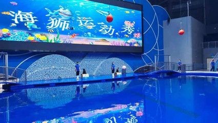 濱州水族館vs祥龍魚場（濱州水族館與祥龍魚場各有特點）