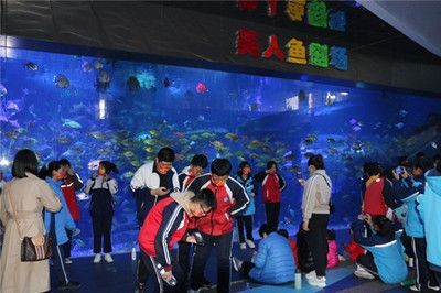 濱州水族館vs祥龍魚場（濱州水族館與祥龍魚場各有特點）