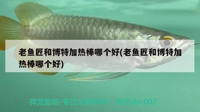 老魚匠和博特加熱棒哪個好(老魚匠和博特加熱棒哪個好)