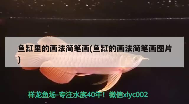 城陽(yáng)區(qū)孫小姐花店