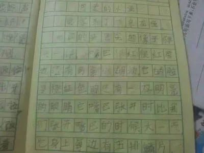 描寫紅龍魚的作文300字：紅龍魚品種分類介紹，紅龍魚飼養技巧，紅龍魚繁殖過程詳解