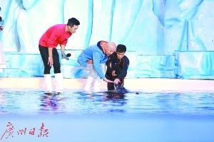 咸寧水族館vs祥龍魚場（咸寧水族館與祥龍魚場各有側(cè)重）