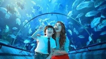 咸寧水族館vs祥龍魚場（咸寧水族館與祥龍魚場各有側(cè)重）
