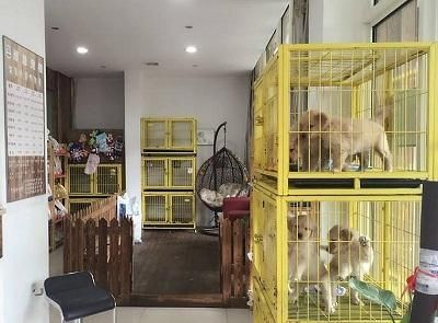 巴南哪里有魚缸賣的：巴南區內魚缸銷售和定制 巴南哪里有魚缸賣的：巴南區內魚缸銷售和定制 魚缸百科 第3張
