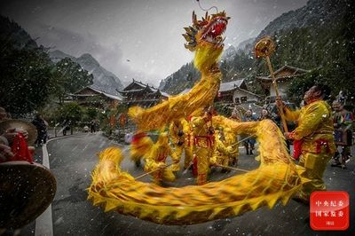 恩施土家族苗族自治州水族館vs祥龍魚場（恩施土家族苗族自治州水族館）
