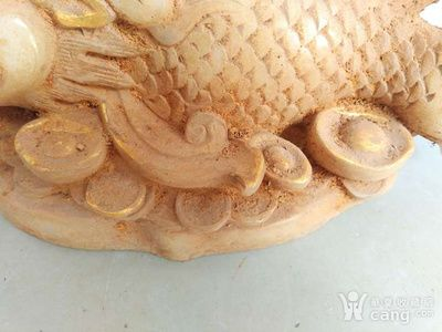 和田龍魚(yú)vs祥龍魚(yú)場(chǎng)（和田龍魚(yú)與祥龍魚(yú)場(chǎng)有什么區(qū)別？）