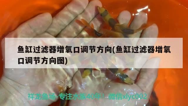 濰坊清洗魚缸公司有哪些電話（濰坊清洗魚缸公司有哪些電話號碼）