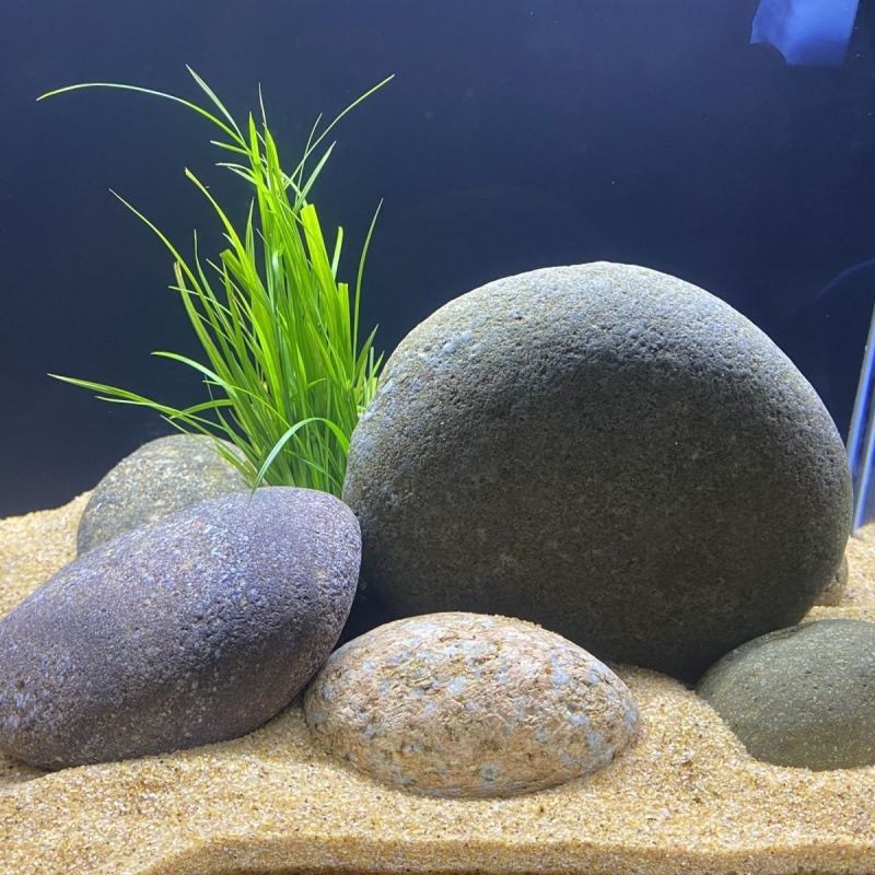 白堿灘區(qū)藍海水水族館(白堿灘區(qū)藍海水水族館電話) 全國水族館企業(yè)名錄 第2張 白堿灘區(qū)藍海水水族館(白堿灘區(qū)藍海水水族館電話) 白堿灘區(qū)藍海水水族館(白堿灘區(qū)藍海水水族館電話) 全國水族館企業(yè)名錄 第2張