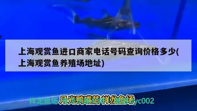立體式魚缸多少錢一套（幼螺該如何養殖呢）