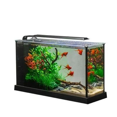 8l的魚(yú)缸可以養(yǎng)多少魚(yú)：8升魚(yú)缸的養(yǎng)魚(yú)數(shù)量怎么算？