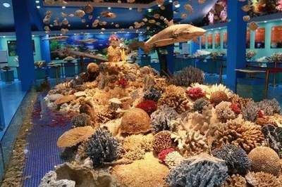 牡丹江水族館vs祥龍魚場（牡丹江水族館與祥龍魚場各有其特色和優(yōu)勢）