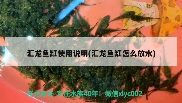 魚缸水質穩定劑加多了怎么辦？，關于魚缸水質穩定劑加多了怎么辦