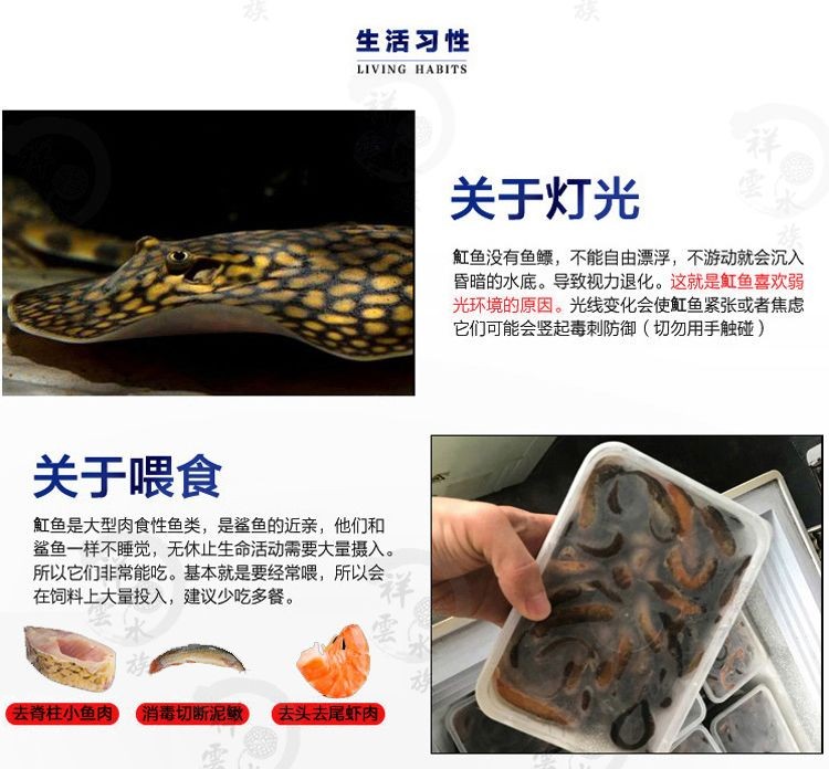 黑金魟魚飼料用戶評價匯總：黑金魟魚飼料用戶評價匯總多數(shù)消費者對該產(chǎn)品持積極態(tài)度
