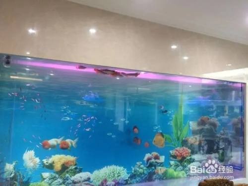 博特新材料泰州有限公司蘭州分公司怎么樣（博特新材料泰州有限公司蘭州分公司怎么樣）