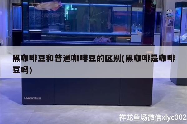 黑咖啡豆和普通咖啡豆的區別(黑咖啡是咖啡豆嗎)