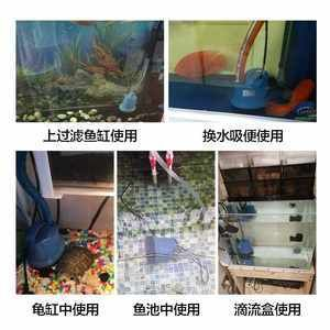 動(dòng)森魚缸怎么弄：《動(dòng)物森友會(huì)》動(dòng)森釣魚技巧大揭秘釣魚技巧大揭秘