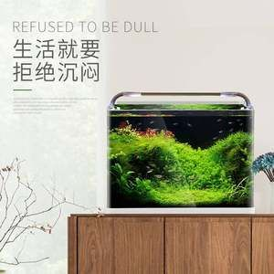 動(dòng)森魚缸怎么弄：《動(dòng)物森友會(huì)》動(dòng)森釣魚技巧大揭秘釣魚技巧大揭秘