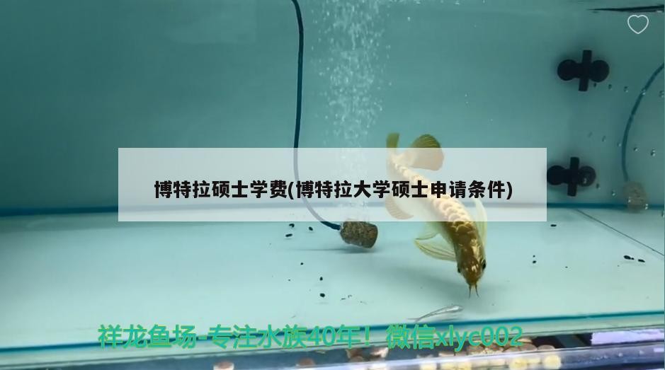 博特拉碩士學費(博特拉大學碩士申請條件)