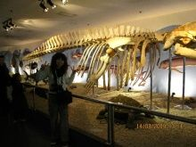 烏海水族館vs祥龍魚場（烏海水族館與祥龍魚場的區(qū)別）