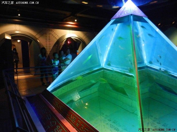 金龍魚適合多少溫度：金龍魚適合多少溫度的水?
