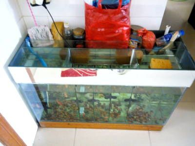 大型魚缸批發市場在哪兒進貨：全國大型魚缸批發市場主要分布在哪些城市