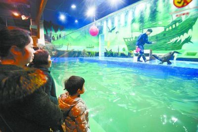 婁底水族館vs祥龍魚場（婁底水族館與祥龍魚場各有其特色和專業領域）