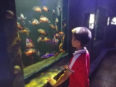 婁底水族館vs祥龍魚場（婁底水族館與祥龍魚場各有其特色和專業領域）