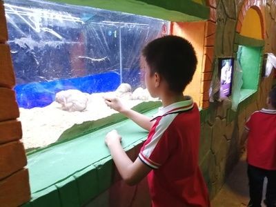 婁底水族館vs祥龍魚場（婁底水族館與祥龍魚場各有其特色和專業領域）