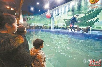 龍魚鰓霉病防治步驟清單，避免誤診延誤治療~，如何預防龍魚鰓霉病