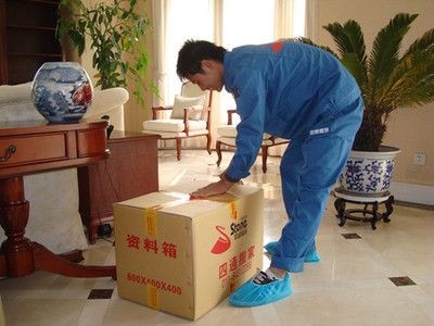 搬家魚缸如何搬家的：搬家時魚缸的搬運步驟和注意事項