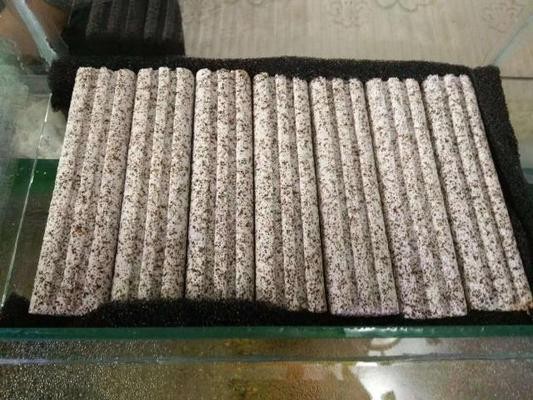 魚缸除氯氣用什么牌子