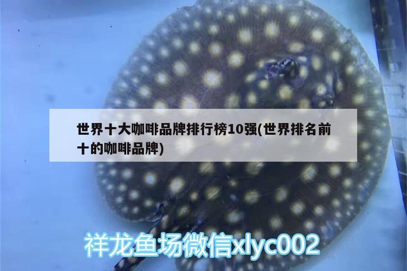 世界十大咖啡品牌排行榜10強(世界排名前十的咖啡品牌) 世界十大咖啡品牌排行榜10強(世界排名前十的咖啡品牌) 馬來西亞咖啡