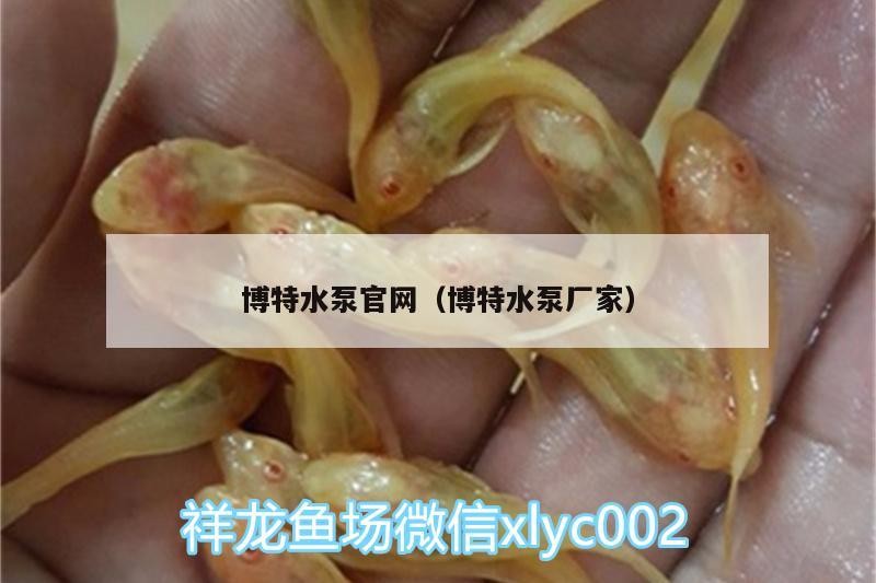 博特水泵官網（博特水泵廠家）